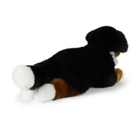 Společenské hry - hračky