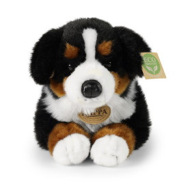 Společenské hry - hračky