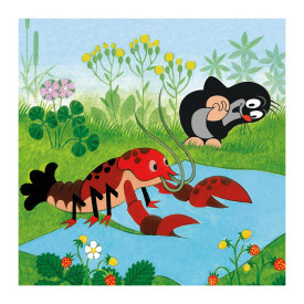 Společenské hry - hračky