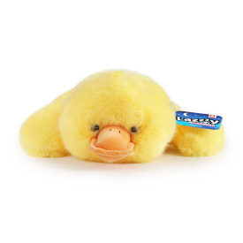 Společenské hry - hračky