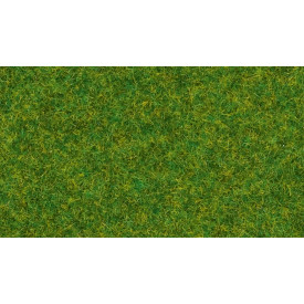Noch Statická tráva Okrasný trávník 2,5 mm