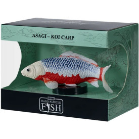 Mojo Kapr koi asagi v krabičce