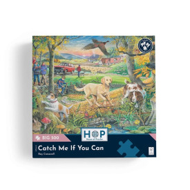 Společenské hry - hračky